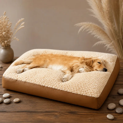COUSSIN SOLO