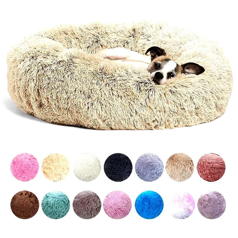 coussin-donuts-pour-chien