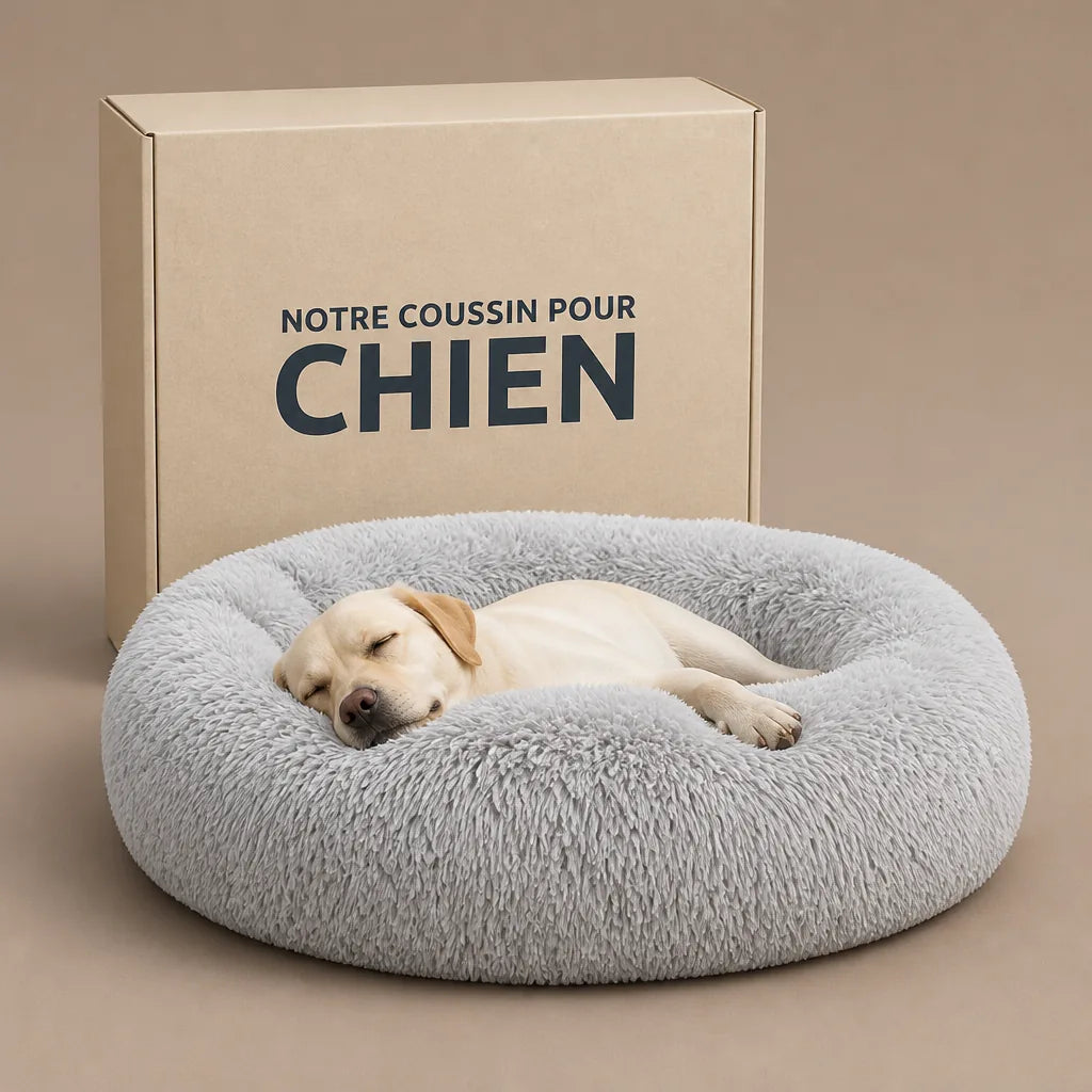 coussin-doudou-pour-chien