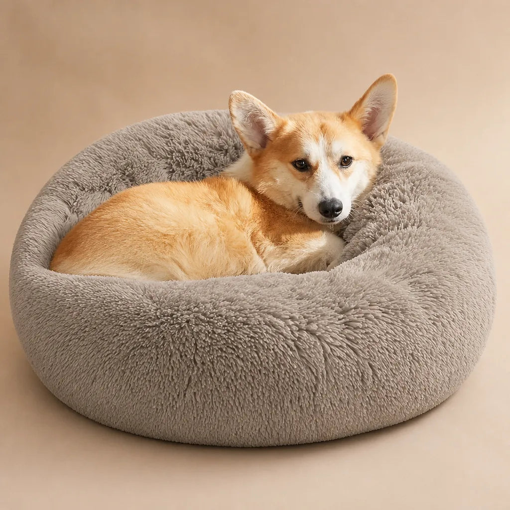 Coussin Doudou Pour Chien