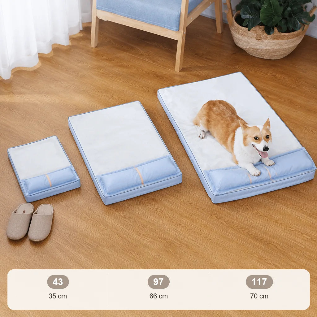coussin-douillet-pour-chien