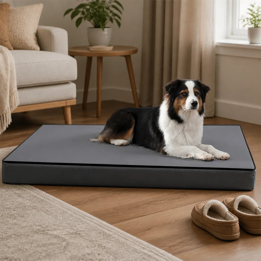 coussin-exterieur-pour-chien