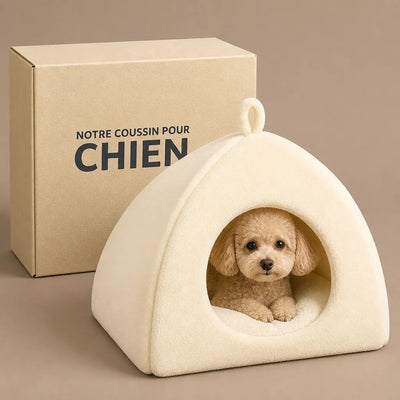 VOTRE ARTICLE