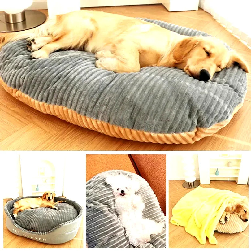 coussin-galette-pour-chien