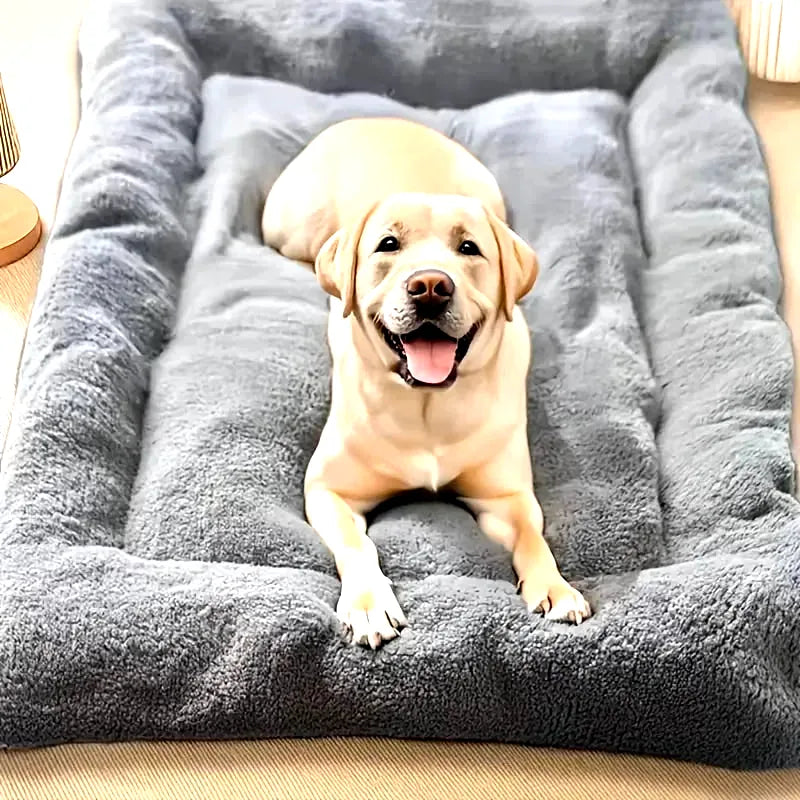 coussin-hypoallergenique-pour-chien