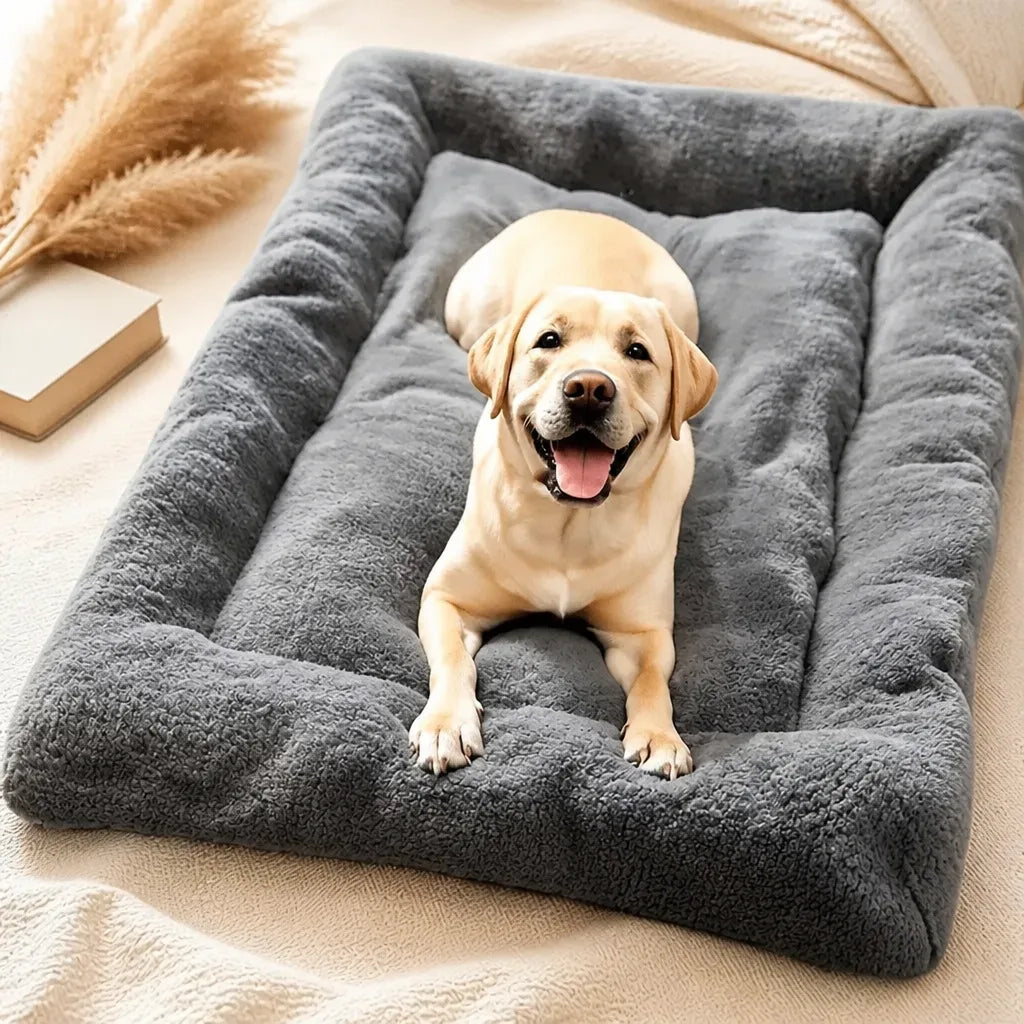 Coussin Hypoallergénique Pour Chien