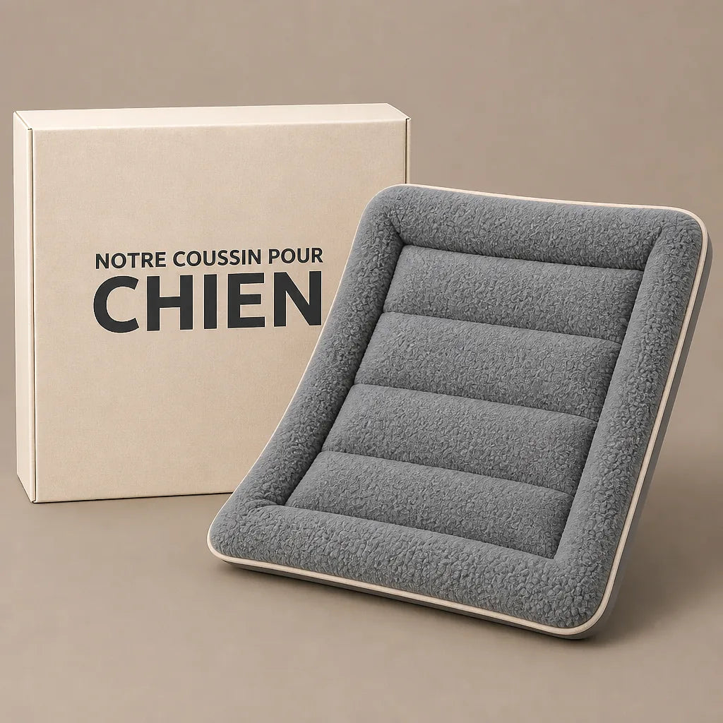 coussin-hypoallergenique-pour-chien