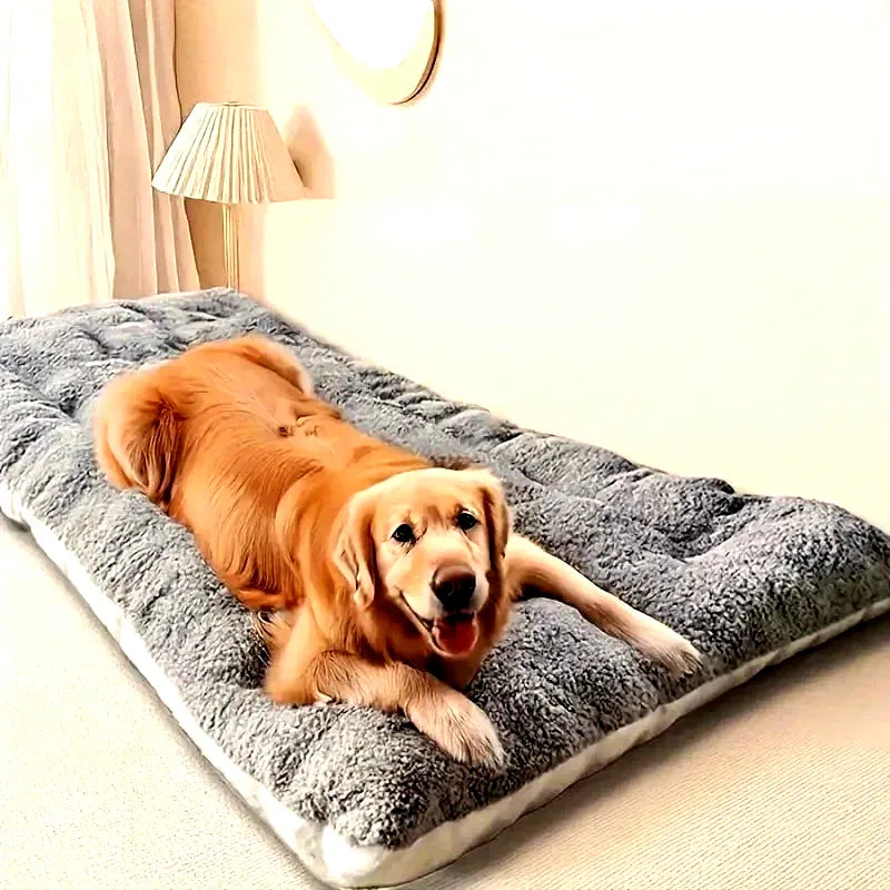 coussin-lit-pour-chien