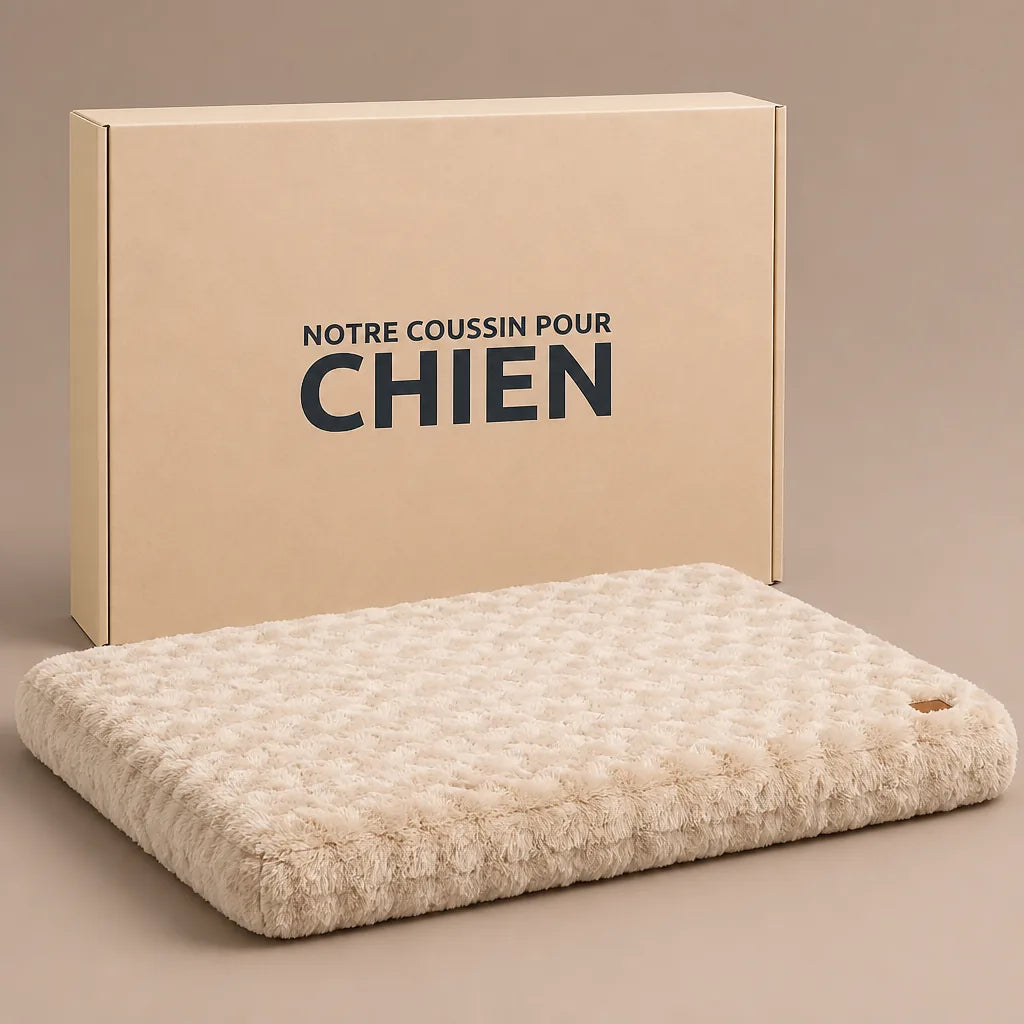 coussin-matelas-pour-chien
