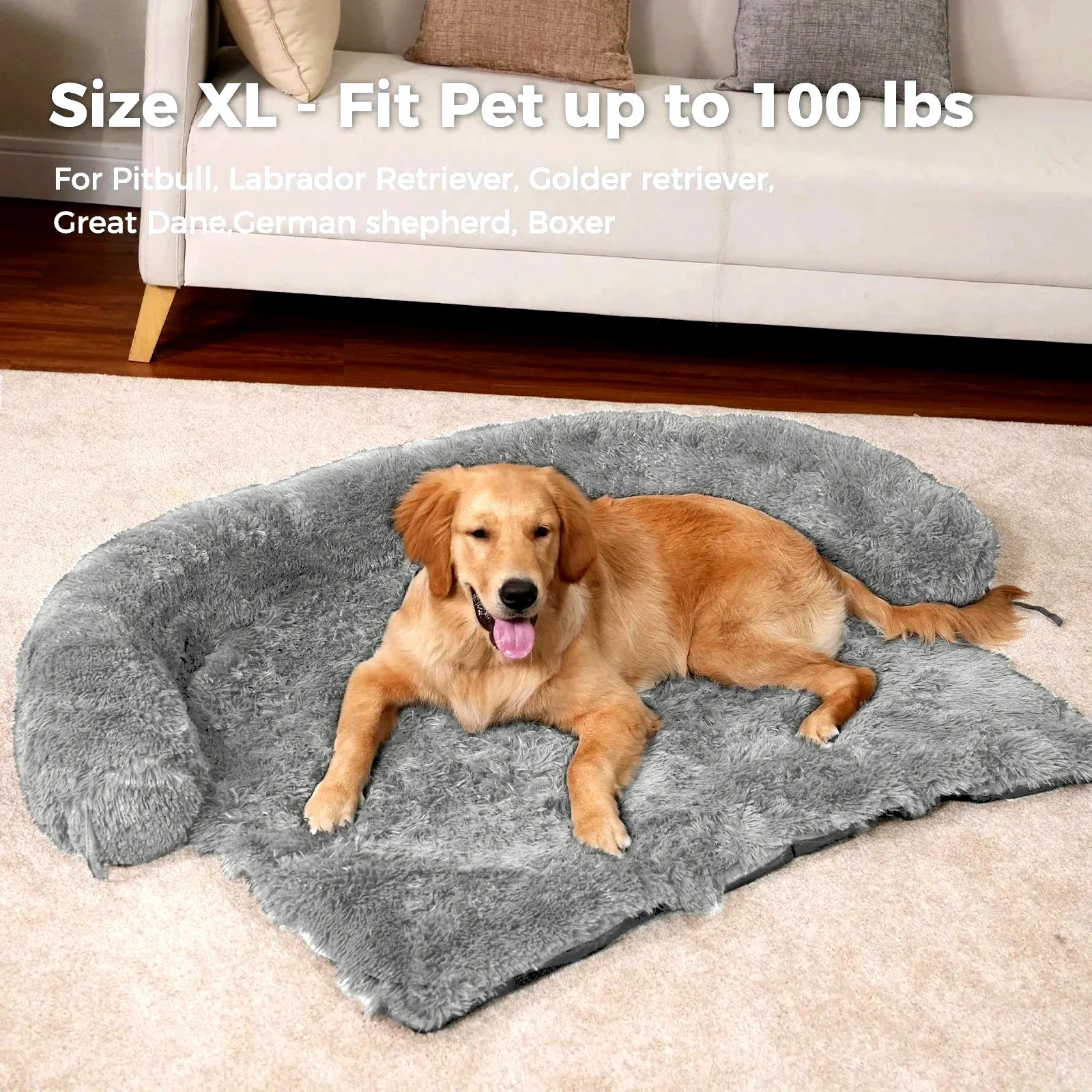 coussin-moelleux-pour-chien