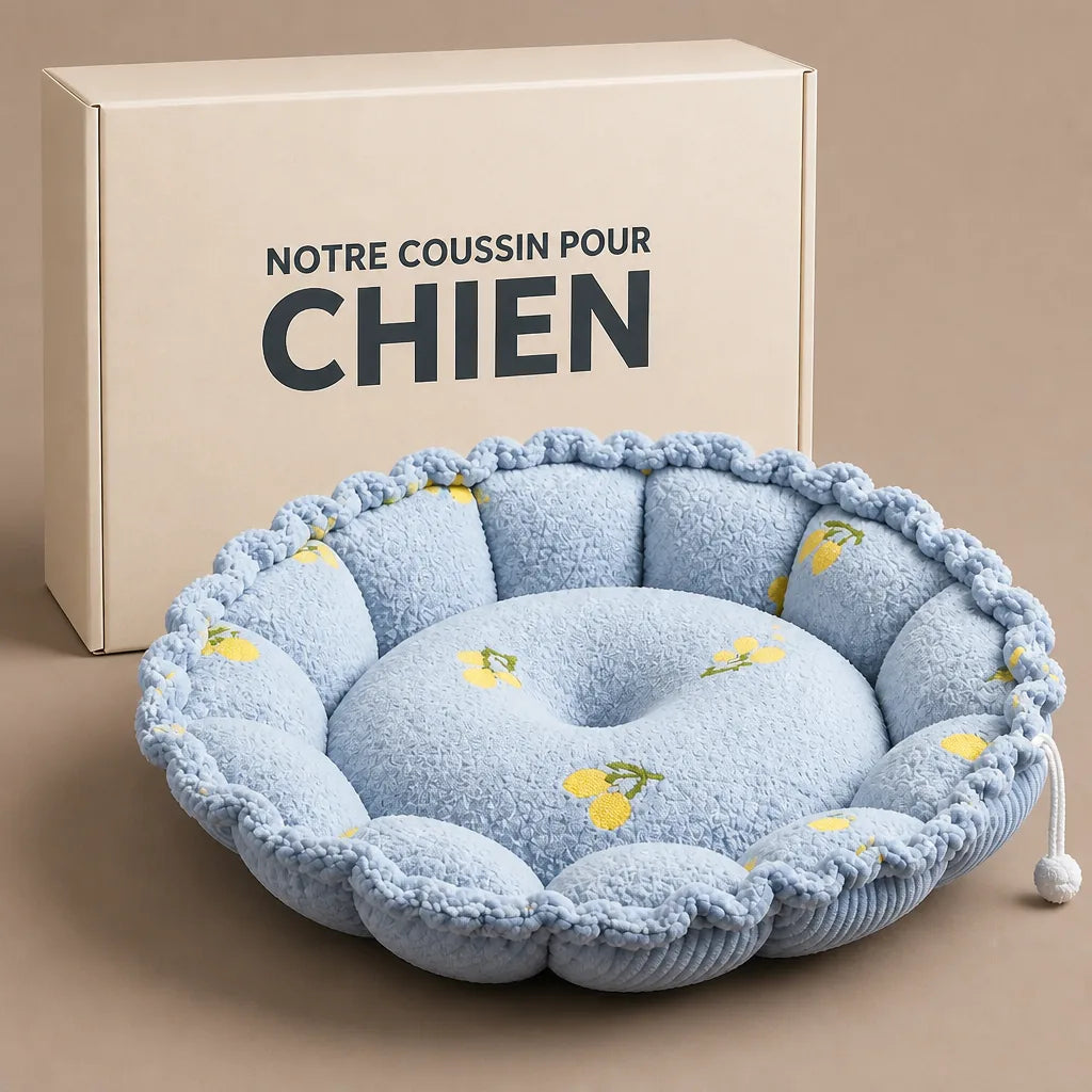 coussin-nuage-pour-chien