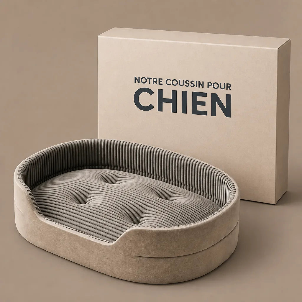 coussin-orthopedique-pour-grand-chien