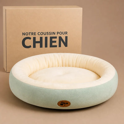 VOTRE ARTICLE