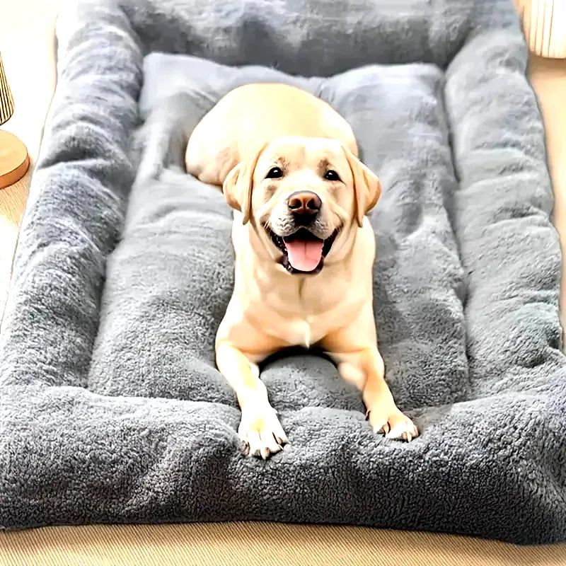 coussin-pour-cage-chien