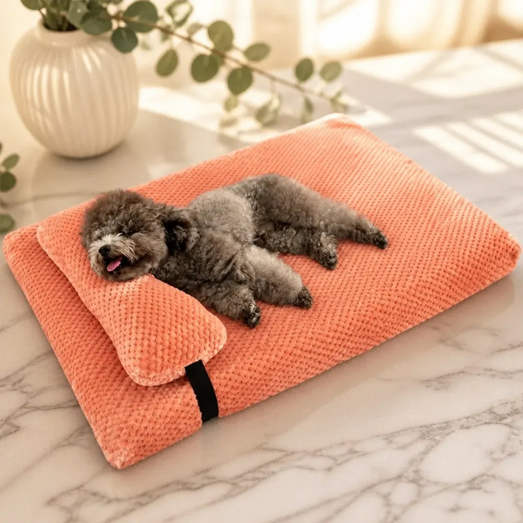 Coussin Pour Chien Apaisant