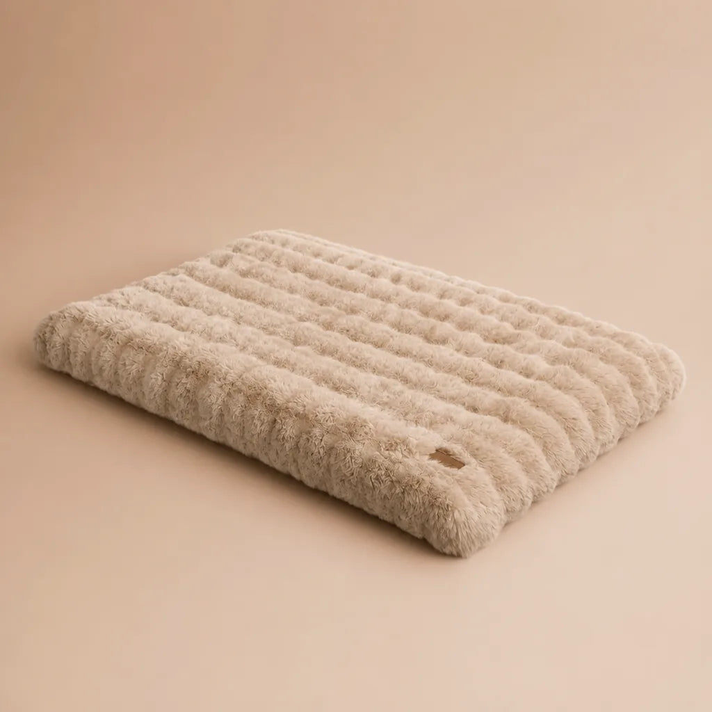 Coussin Pour Chien Avec Couverture