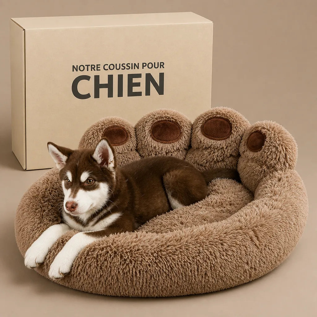 coussin-pour-chien-chat