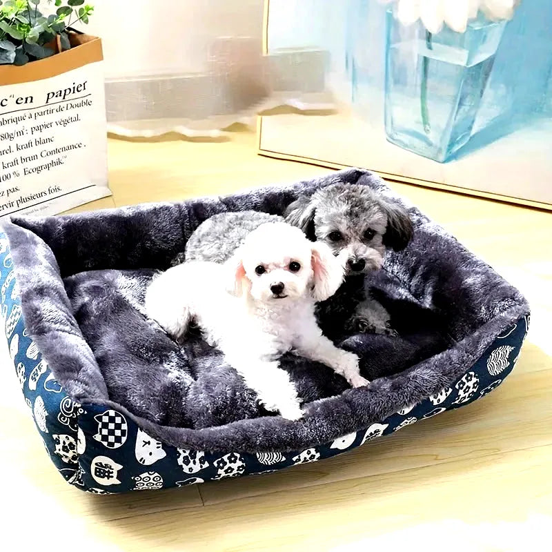 coussin-pour-chien-pas-cher