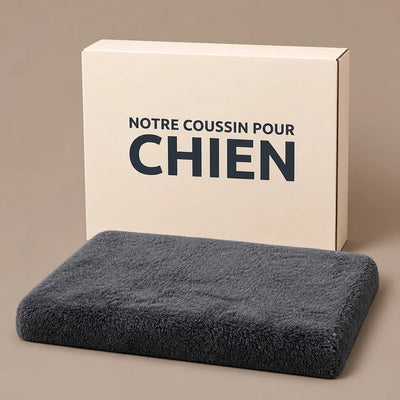 VOTRE ARTICLE