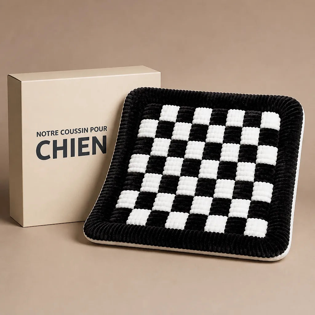 coussin-pour-chien-voiture