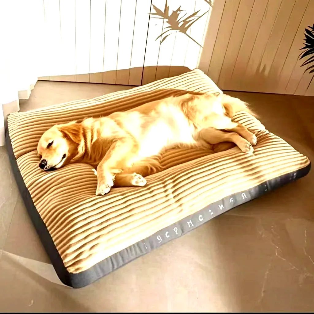 coussin-pour-chien-xxl