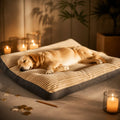 Coussin Pour Chien Xxl