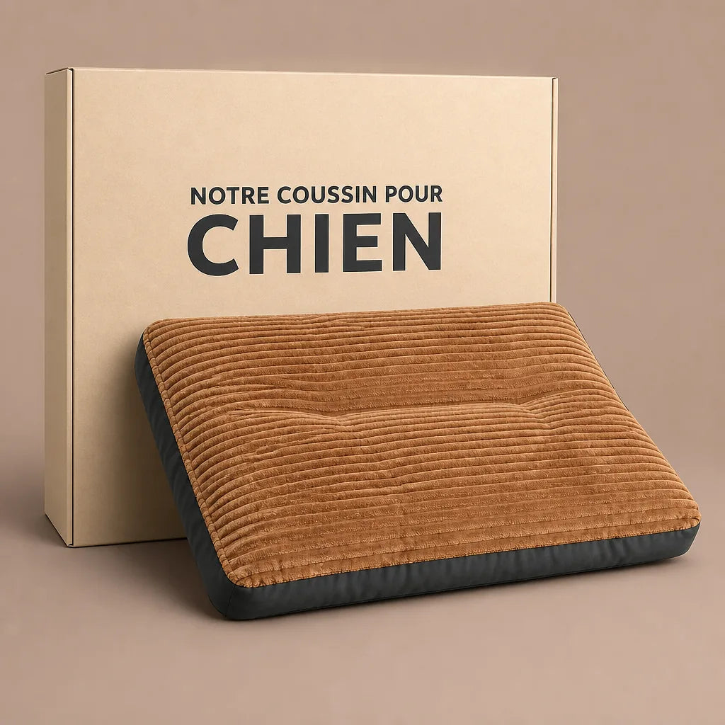 coussin-pour-chien-xxl