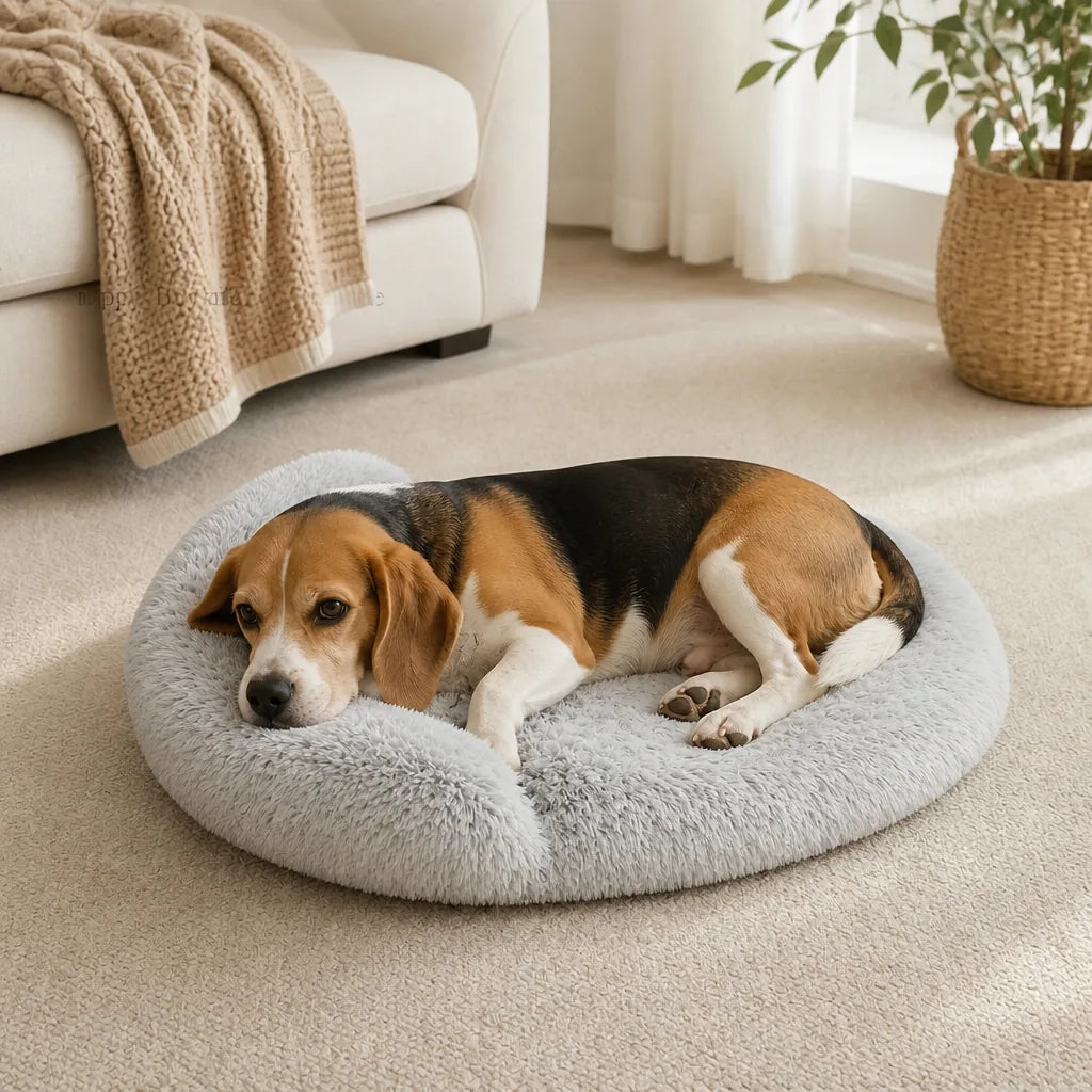 [ANCIEN] supprimer — Coussin Pour Grand Chien 150 Cm