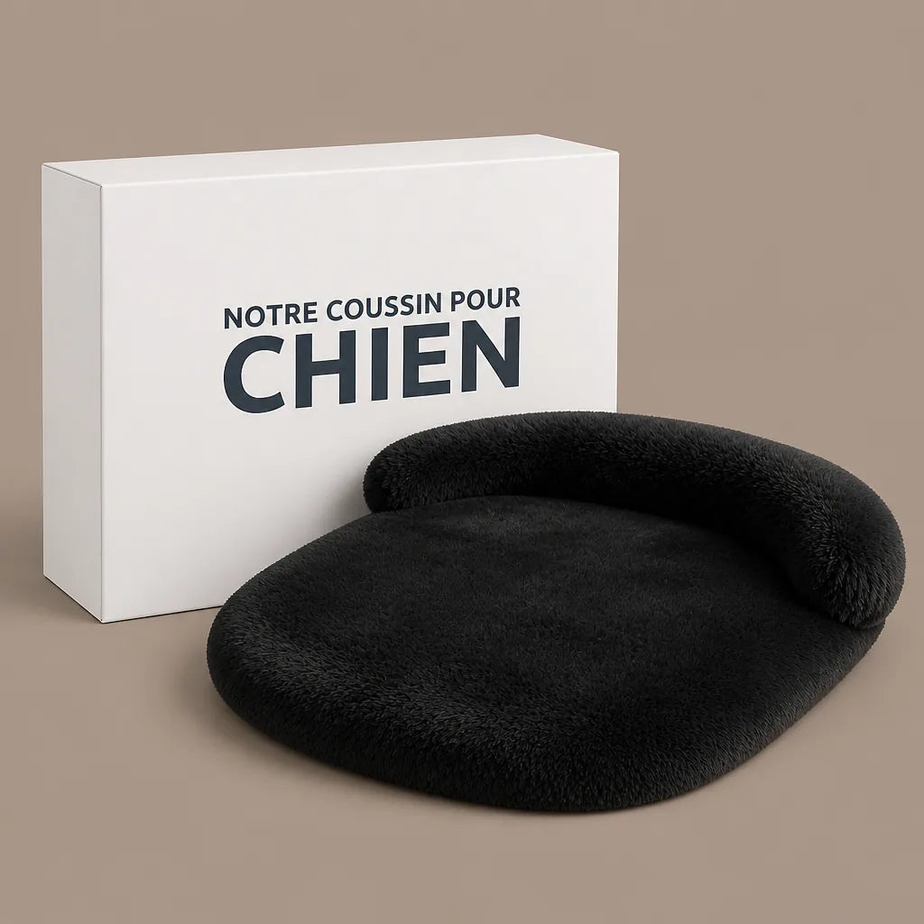 Coussin Pour Grand Chien 150 Cm