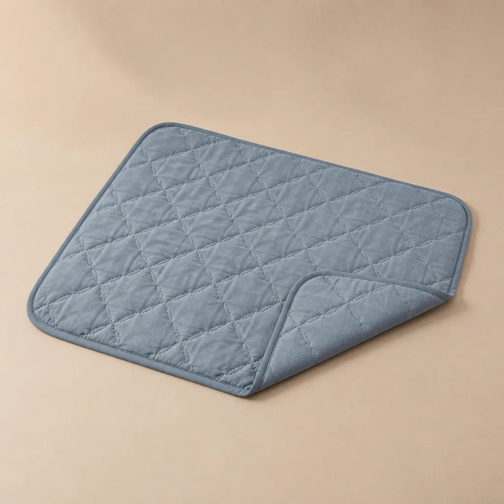 Coussin Pour Vieux Chien