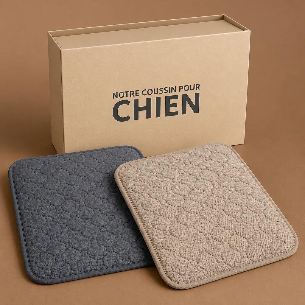 couverture-absorbante-pour-chien