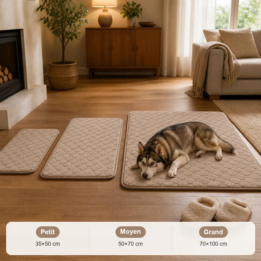 couverture-absorbante-pour-chien