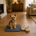 Couverture Absorbante Pour Chien