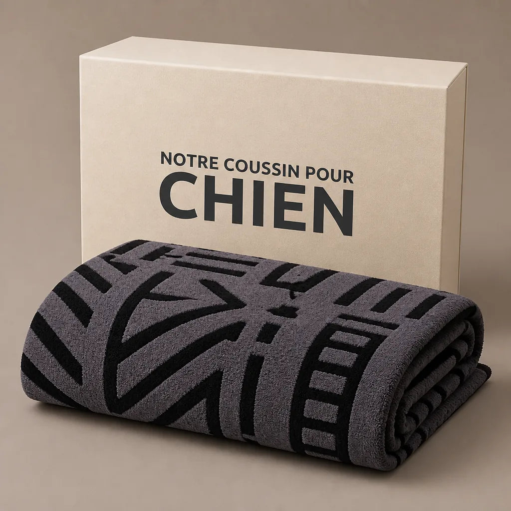 couverture-canape-pour-chien