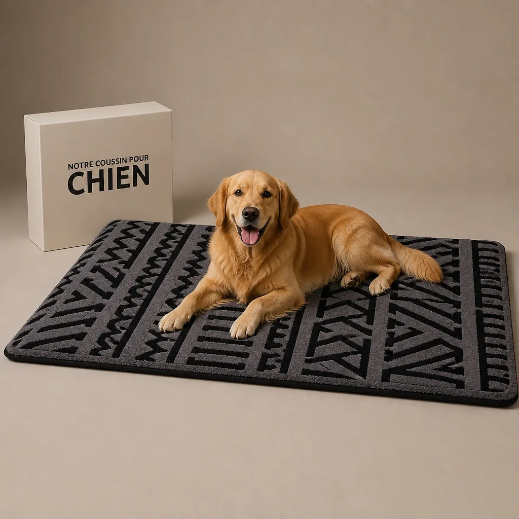 Couverture Canapé Pour Chien