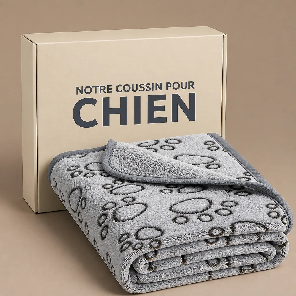 couverture-en-laine-pour-chien
