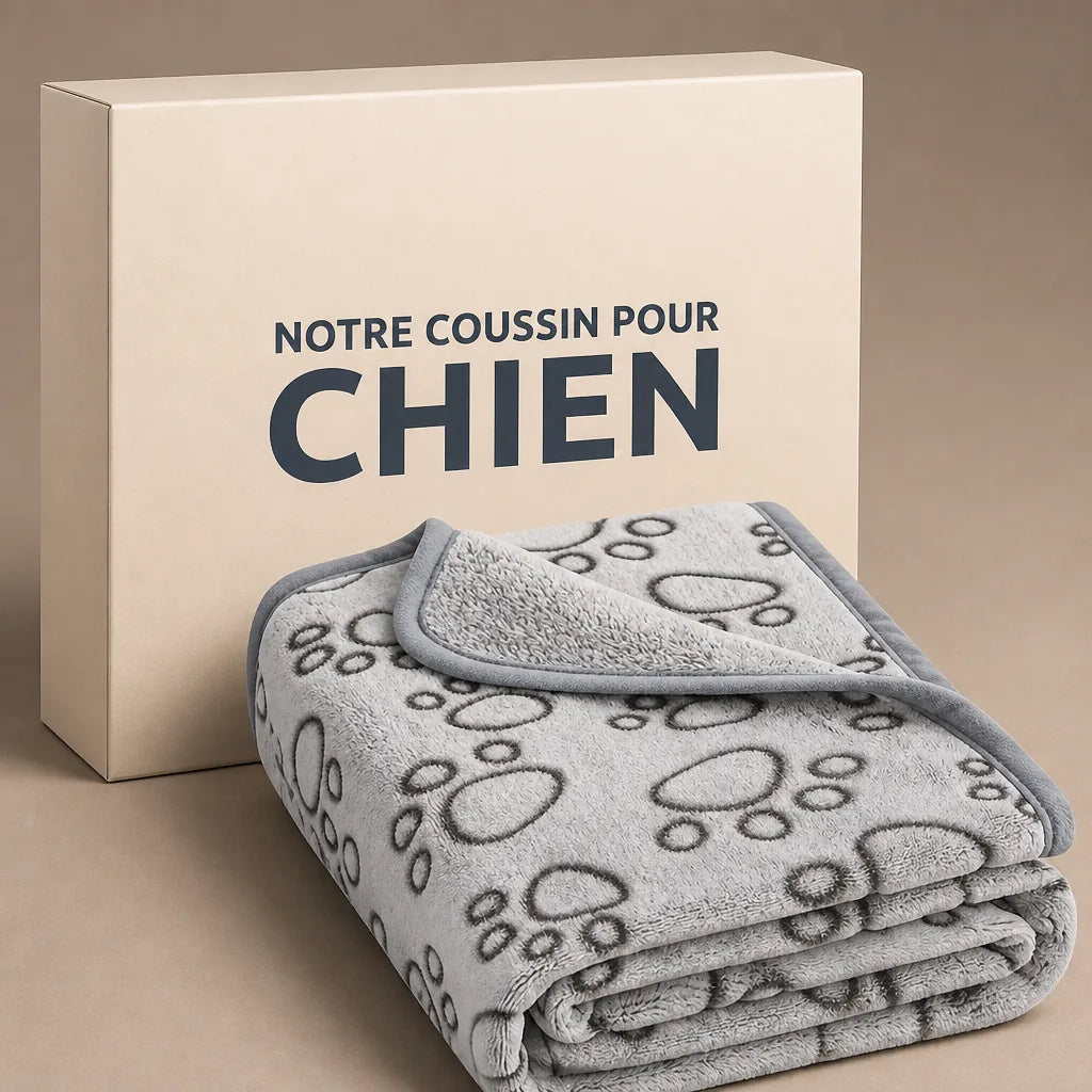 couverture-impermeable-pour-grand-chien