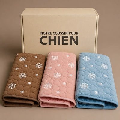 COUSSIN SOLO