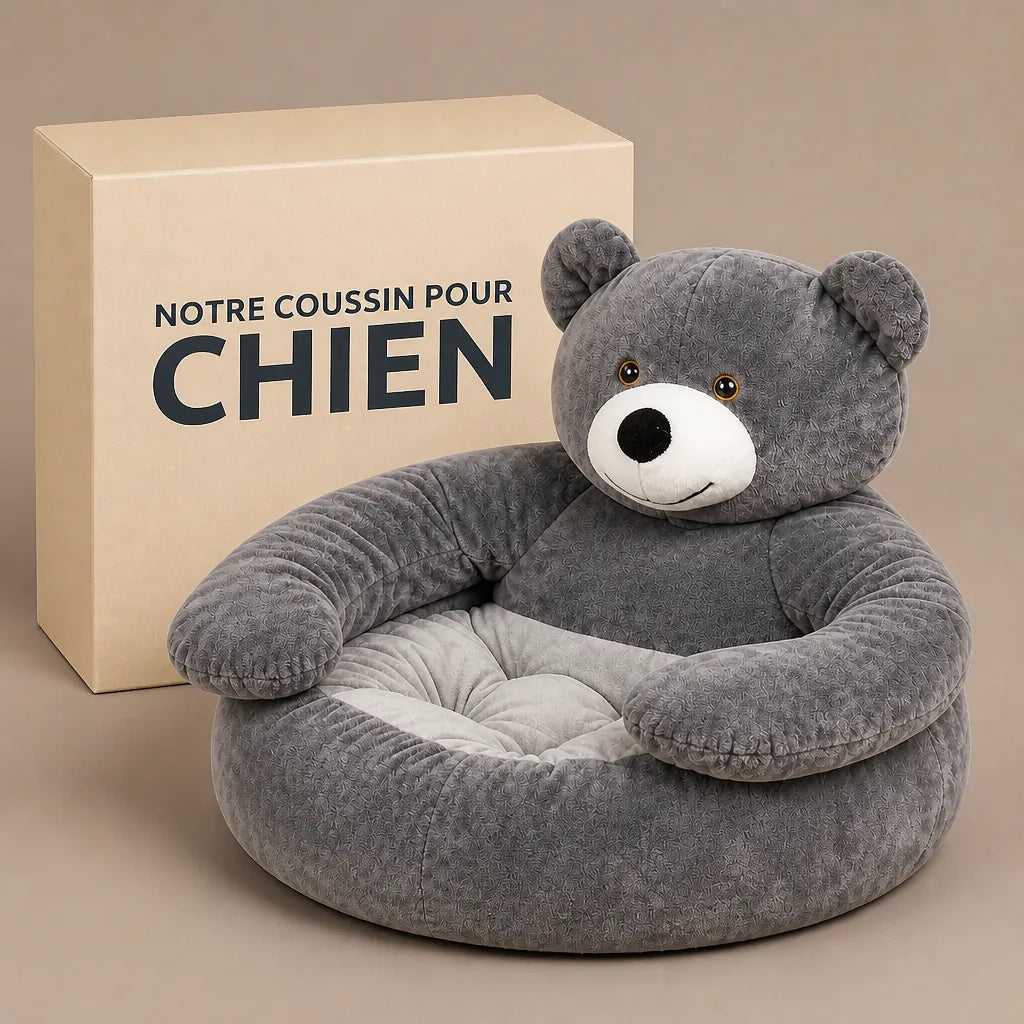fauteuil-lit-pour-chien