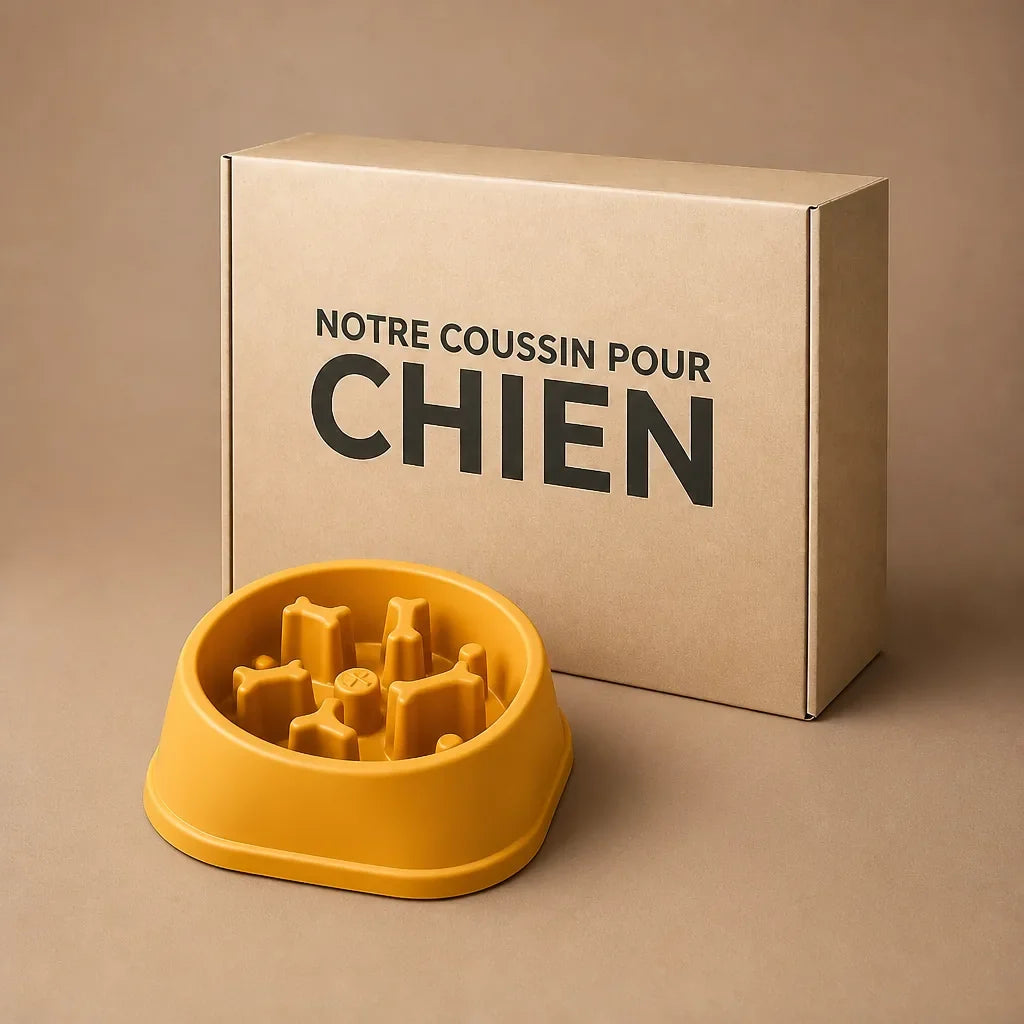 Gamelle Anti Glouton Pour Gros Chien