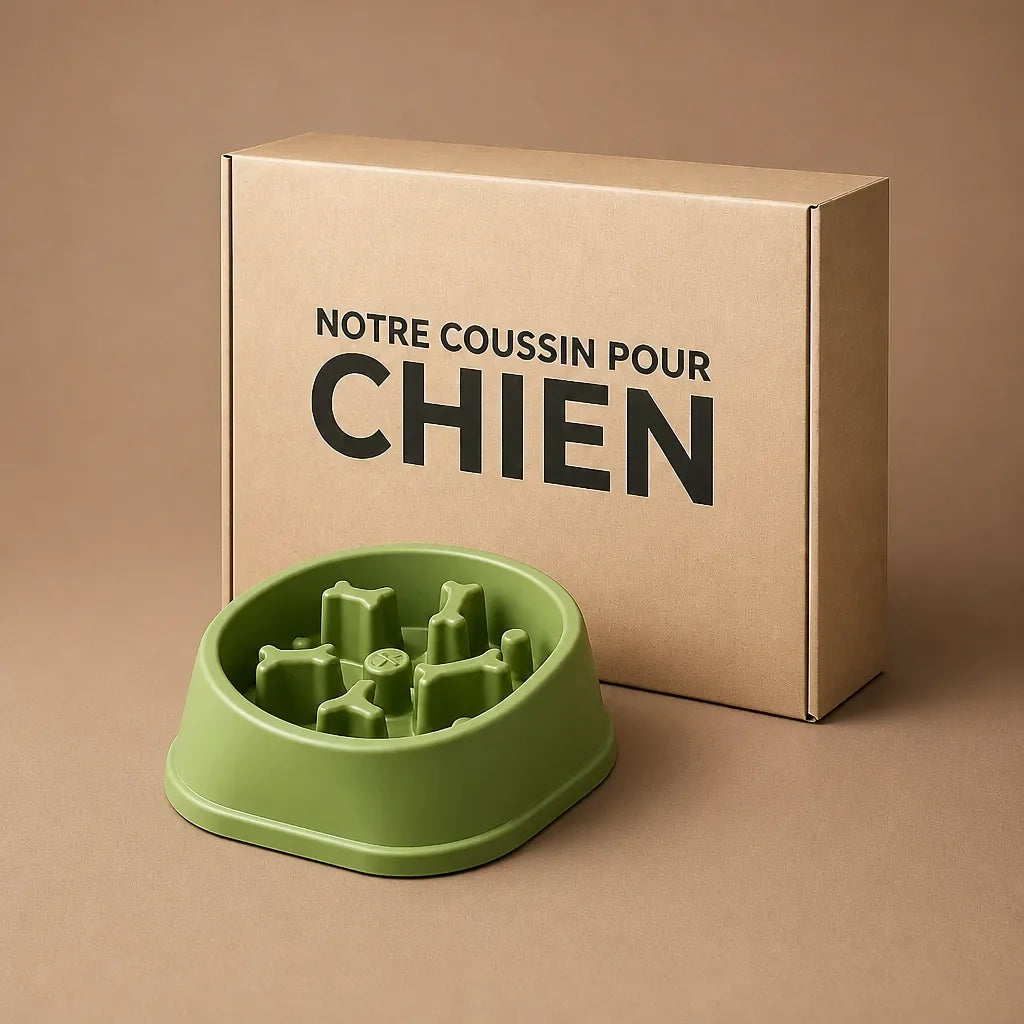 Gamelle Anti Glouton Pour Gros Chien