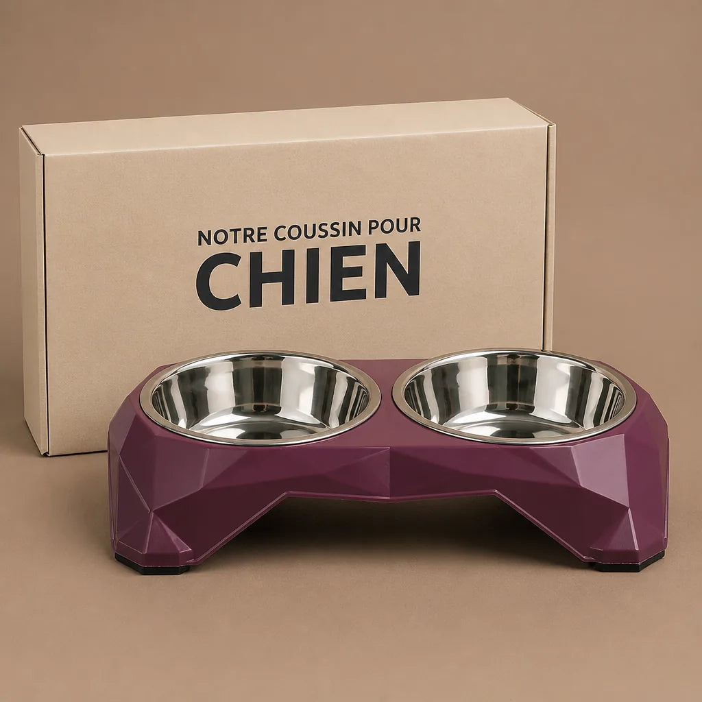 Gamelle Assiette Pour Chien