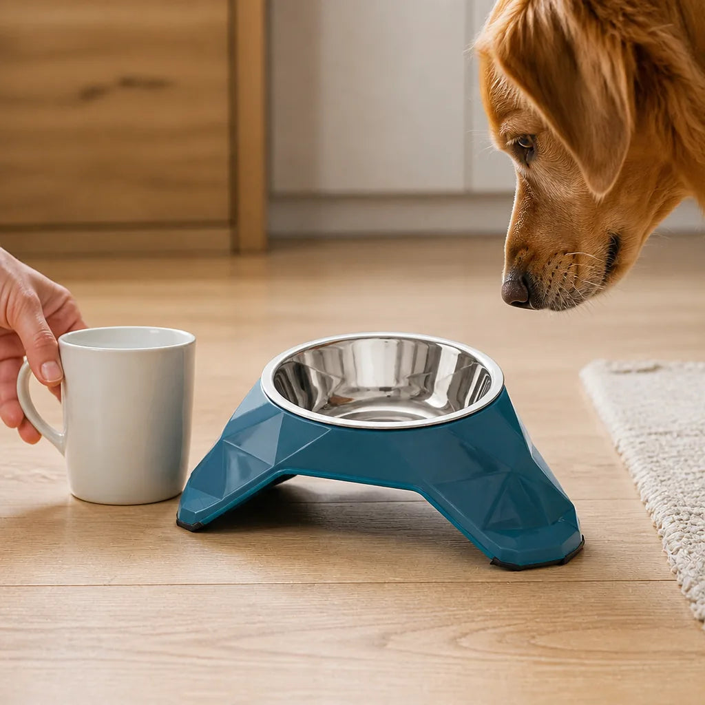 gamelle-assiette-pour-chien