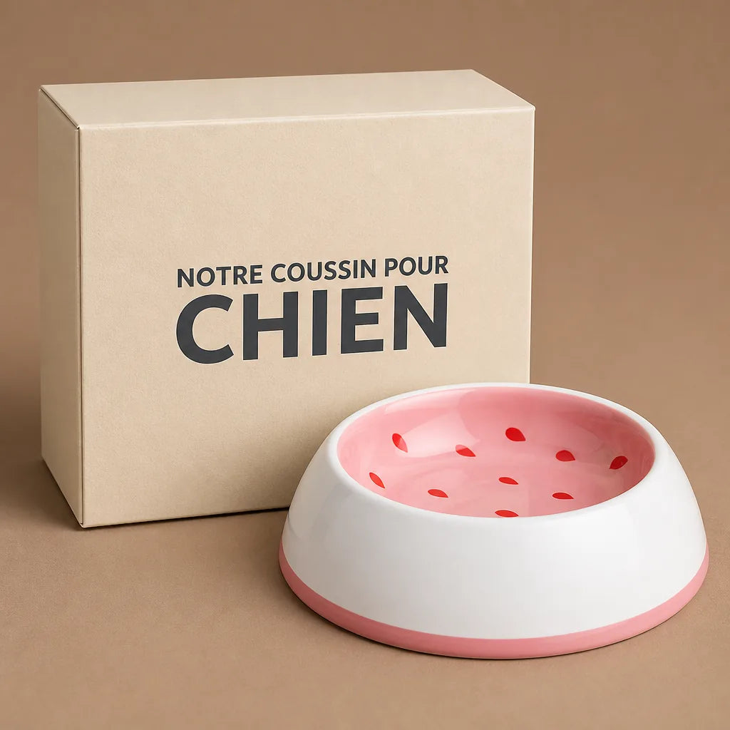 Gamelle Céramique Pour Petit Chien