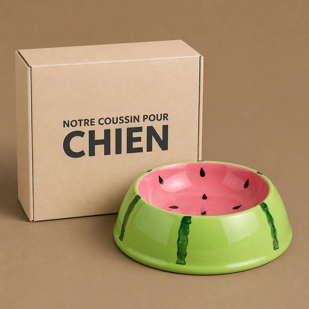 Gamelle Céramique Pour Petit Chien