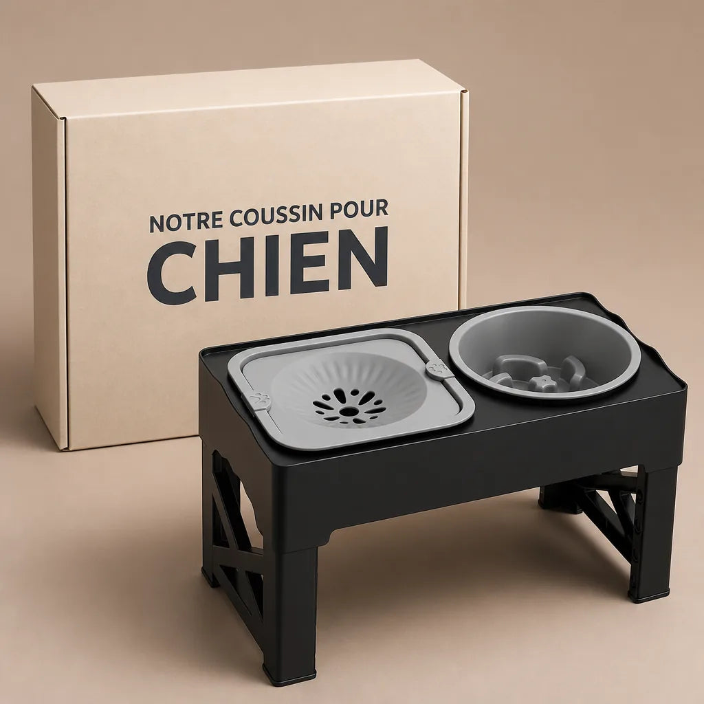 gamelle-chien-pour-manger-doucement