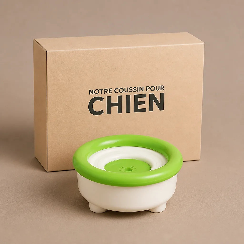 Gamelle D Eau Pour Chien Anti Renversement