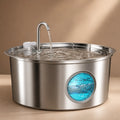 Gamelle D Eau Pour Chien La Nuit