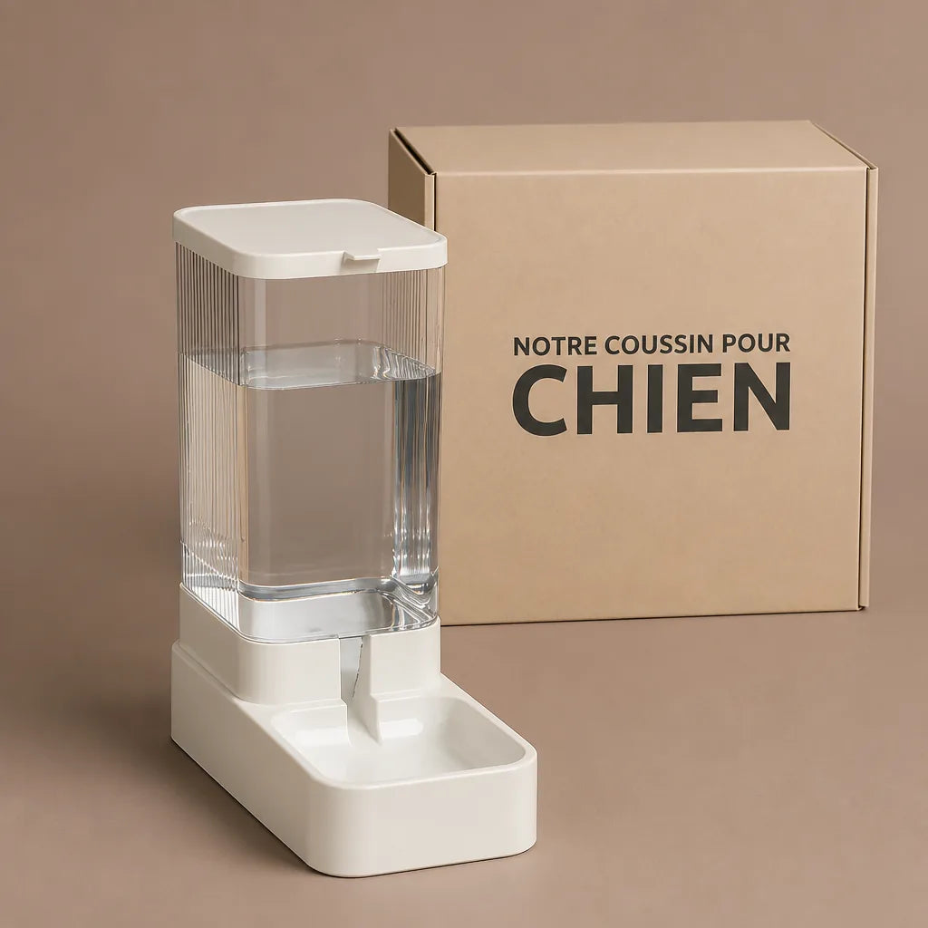 Gamelle D'Eau Pour Chien