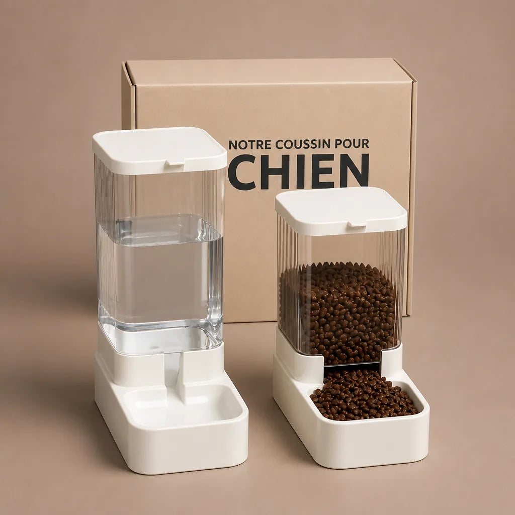 Gamelle D'Eau Pour Chien